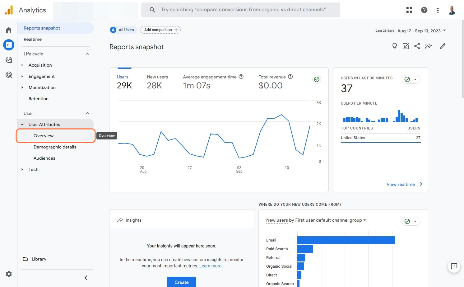 How to grow your business with Google Analytics_Click on Overview